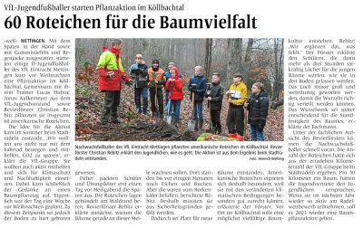D-Jugend: 60 neue Bäume für das Köllbachtal