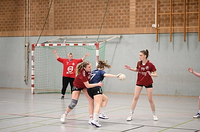 1. Damen zeigt starke Leistung - Punkte gehen an die HSG Tecklenburger Land (27.02.2025)