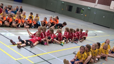 VfL vs. Aaseecup 2017